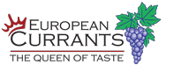 EU CURRANTS